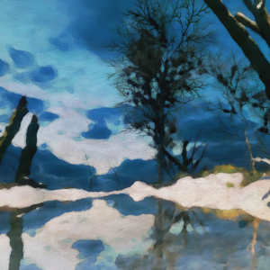 Snow Glass Pond